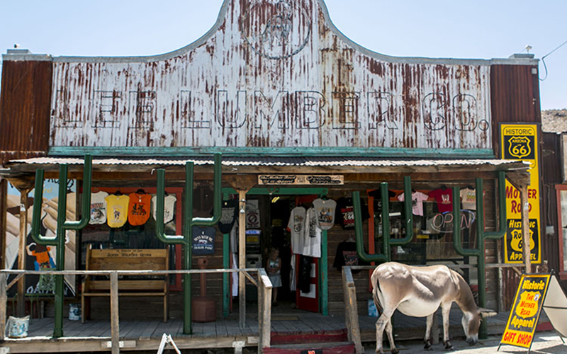 Oatman relies on burros for tourism.  (Photo by Isabel Menzel/Cronkite News)