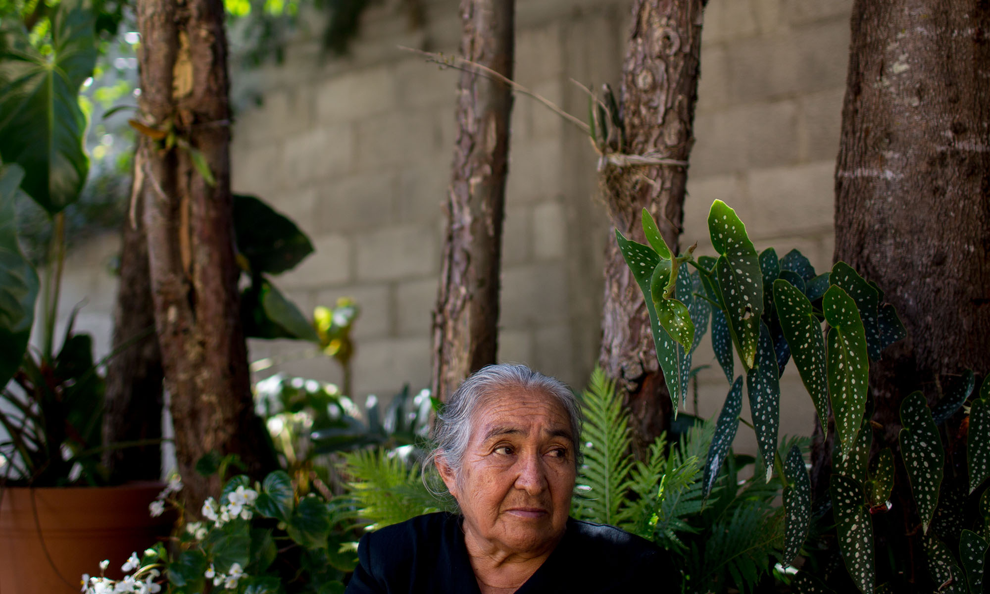 Maria sits in her back yard in a small pueblo outside of Jalpan, Mexico. Maria said a third son died after not receiving medical treatment for a b brain aneurysm in the United States. He returned to Mexico for surgery but did not recover. Now, only Maria’s two daughters remain in Mexico with her and her husband. The couple made sure their children got an education, but even well trained and educated they still couldn’t make enough money and went north for the better opportunities. “Of course I was afraid,” Maria said. “I just stayed behind praying for them. Praying to God. I didn’t want them to go. I was left behind crying… afraid that something would happen to them on the journey.” (Photo by Courtney Pedroza/Cronkite Borderlands Initiative)