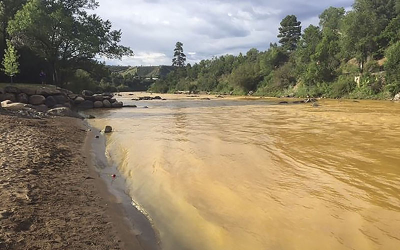 Yellow waste water that had been held behind a barrier near an abandoned mine is seen in the Animas River in Durango, Colorado