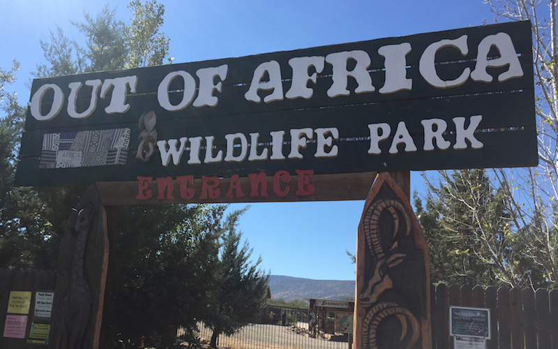 Out of Africa Wildlife Park partners with AZ Game and Fish in housing animals unfit for release back into the wild. (Photo by Kristiana Faddoul/Cronkite News)