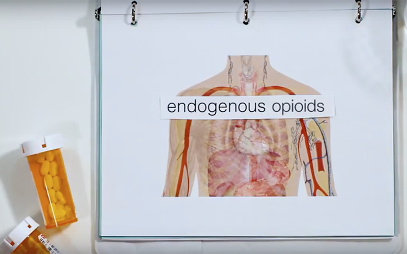 Watch Opioids And The Body The Science Of An Overdose Cronkite News