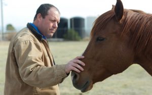 Brandon Ames cares for two horses on his ranch in Chandler. Their amniotic fluids will be used at Anicell Biotech. (Photo by Erica Apodaca/Cronkite News)