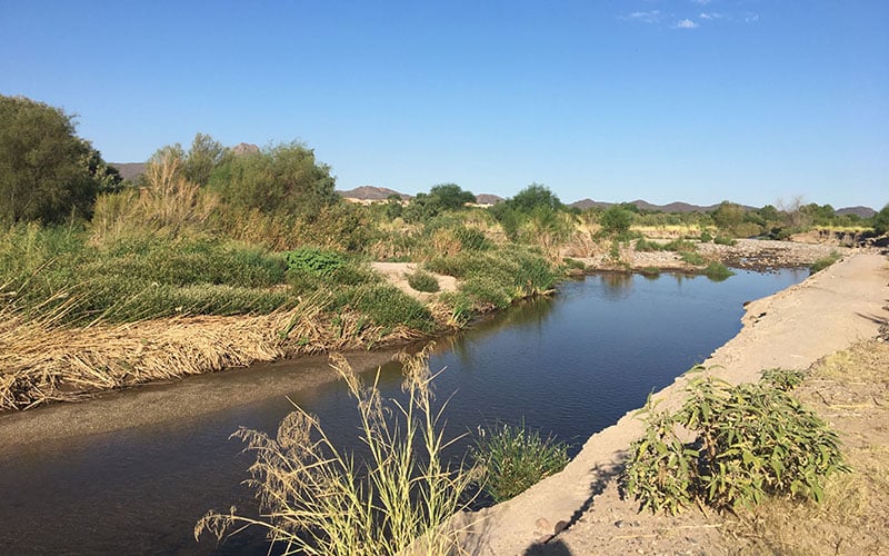 A Cleaner Santa Cruz River Helps Tucson Community Connect 