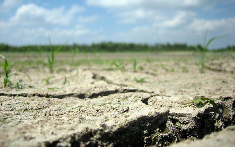 'Perfect droughts' were common in the past and they could get worse - Cronkite News