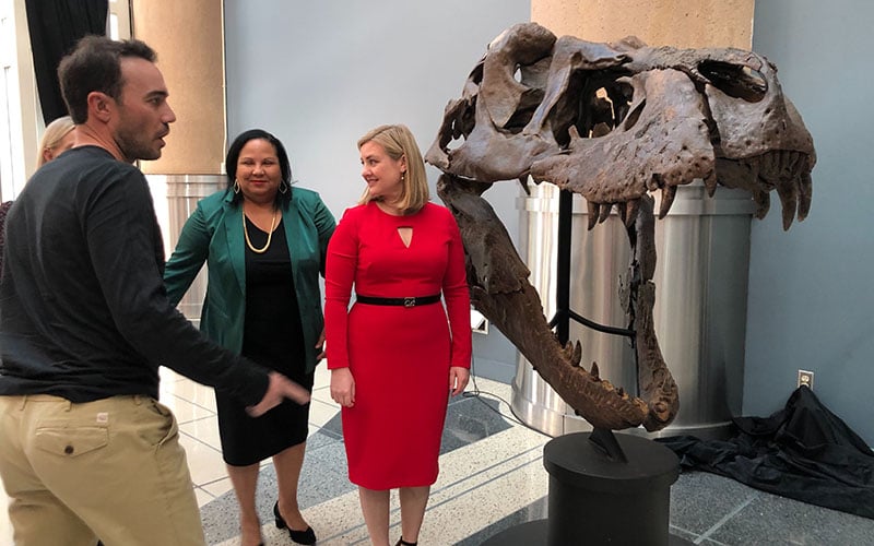 Fossil owner Aber Whitcomb, Arizona Science Center president and CEO Chevy Humphrey, center, and Phoenix Mayor Kate Gallego stand beside the skull of 66 million-year-old Victoria. (Photo by Sabine Galvis/Cronkite News)