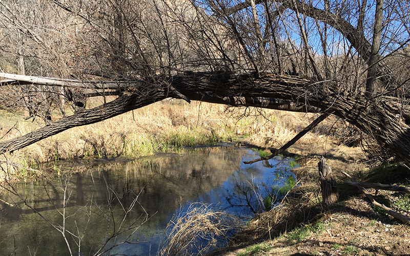 Proposed water policy could change the future of water in Prescott - Cronkite News