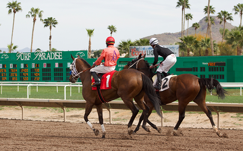 Phoenix Turf Paradise race track horse deaths raise concerns