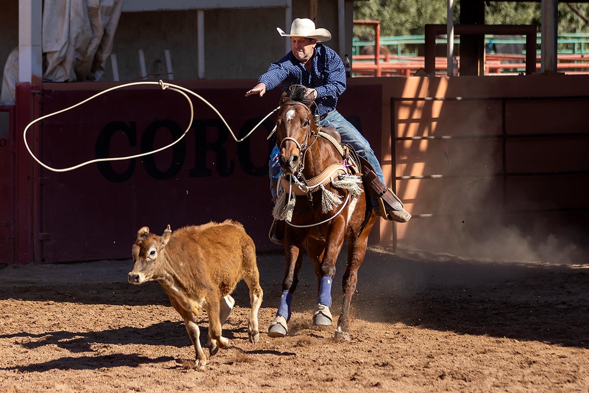 David Lawson works to lasso a calf as a part of the team roping event at the Arizona Gay Rodeo. During the competition, two people on horseback attempt to capture the calf by the head, legs or heels. (Photo by Mary Grace Grabill/Cronkite News)
