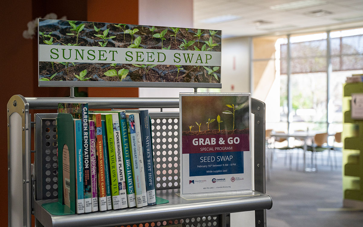 Twice a year, Sunset Library’s seed-swap program allows the public to talk to master gardeners regarding specific crops and tips on better gardening and swap seeds or take plants home. Because of rising COVID-19 cases last winter, the library on Feb. 16, 2022, made the program grab-and-go. (Photo by Genesis Alvarado/Cronkite News)
