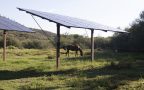How one Wickenburg cattle ranch puts sustainability at its core