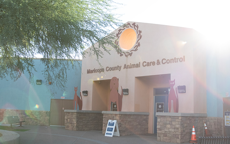 Arizona pet shelters overcrowded due to rising costs