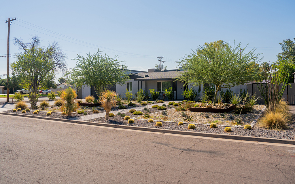 Xeriscaping is the practice of designing landscapes to reduce or eliminate the use of water. Xeriscaping also reduces air-polluting lawn maintenance. This yard in Mesa was converted to desert landscaping under the city’s Grass-to-Xeriscape incentive program. Photo taken Sept. 7, 2022, in Mesa. (Photo by Samantha Chow/Cronkite News)