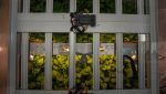 Cameras monitor the growth of savanna brassica, a spinach and mustard hybrid, at OnePointOne in Avondale on Sept. 28, 2022. (Photo by Samantha Chow/Cronkite News)