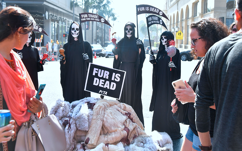 A new California law prohibits the sale and manufacture of fur in the Golden State. Here, PETA activists dressed as Grim Reapers hold a “Fur is Dead” rally along Hollywood Boulevard in Hollywood, California, in 2018. (File photo by Frederic J. BROWN / AFP) (Photo by FREDERIC J. BROWN/AFP via Getty Images)
