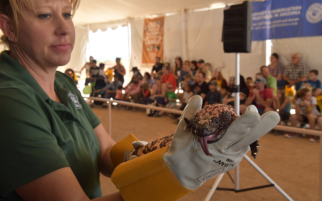 Heather Buck, Arizona Game and Fish wildlife center coordinator, holds a gila monster at one of the agency’s Outdoor Expo events. (File photo courtesy of Arizona Game and Fish)