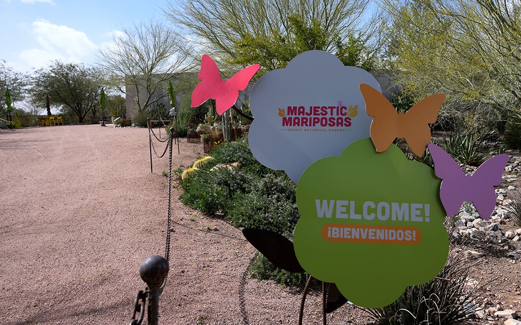 Twice a year, the Desert Botanical Garden hosts a butterfly exhibit featuring about 2,000 butterflies native to the Southwest, including monarchs. The butterfly pavilion is shown on Feb. 22, 2023. (Photo by Izabella Hernandez/Cronkite News)