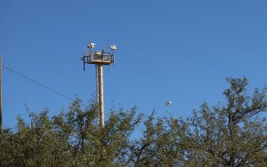 A remote video surveillance system is shown next to a tactical aerostat over Nogales, Ariz. (Photo courtesy of Electronic Frontier Foundation)