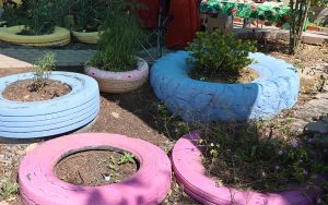 Various plants grow out of painted tires at the Heart and Soil People’s Garden in Phoenix on March 18, 2023. (Photo by Lauren Kobley/Cronkite News)