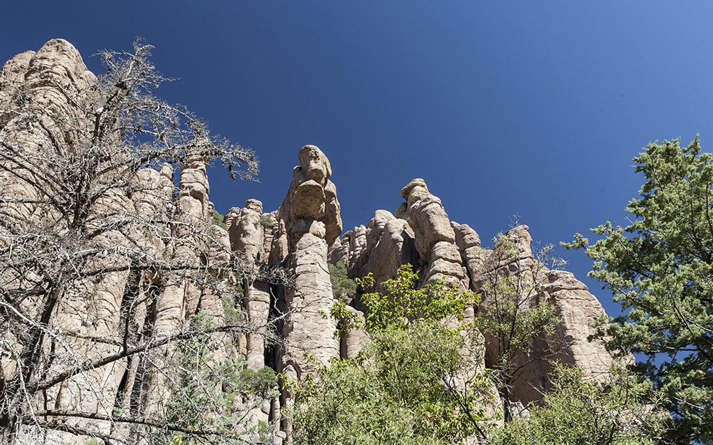 The Rhyolite Canyon Tuff in Chiricahua National Monument is volcanic rock formed by a volcanic eruption 27 million years ago.  (Photo credit: National Park Service)