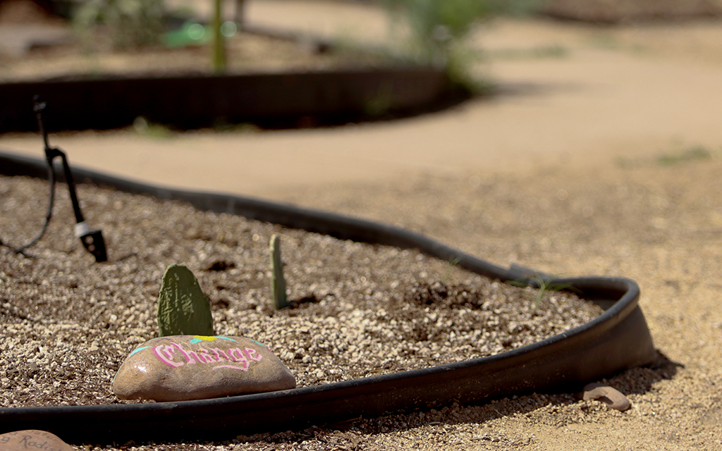One of the many positive messages featured in the planters at the TigerMountain Foundation community gardens on April 25, 2023. This message - a rock that says, "Change." (Photo by Logan Camden/Cronkite News)