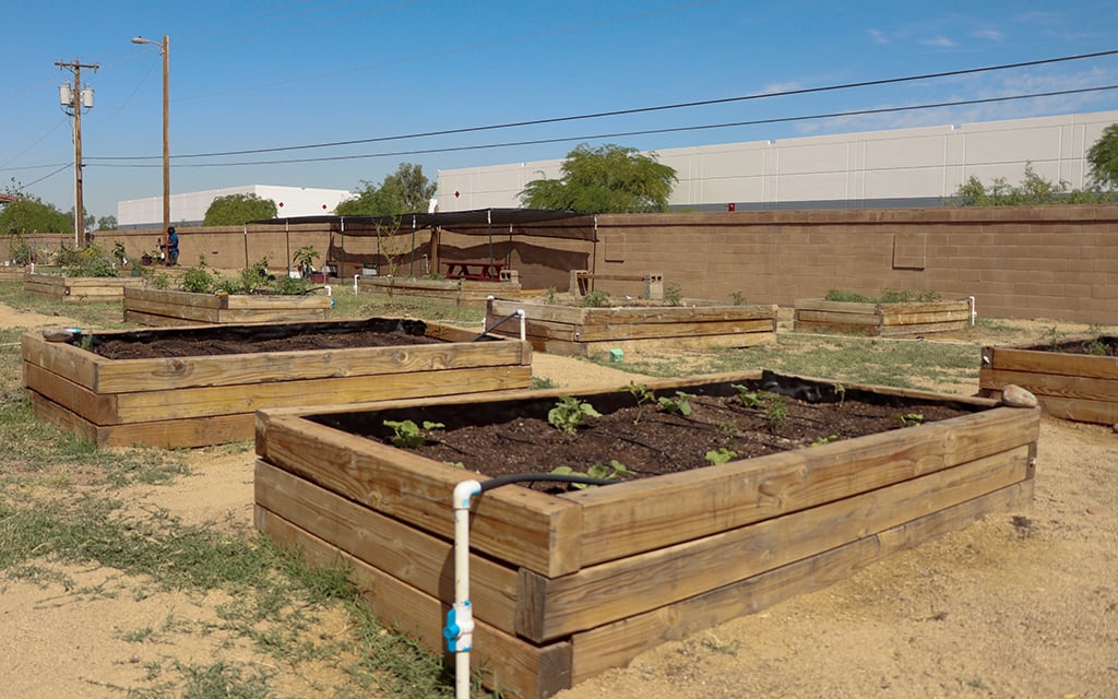 A shot of various planters and their irrigation systems at the TigerMountain Foundation community gardens on April 25, 2023. (Photo by Logan Camden/Cronkite News)