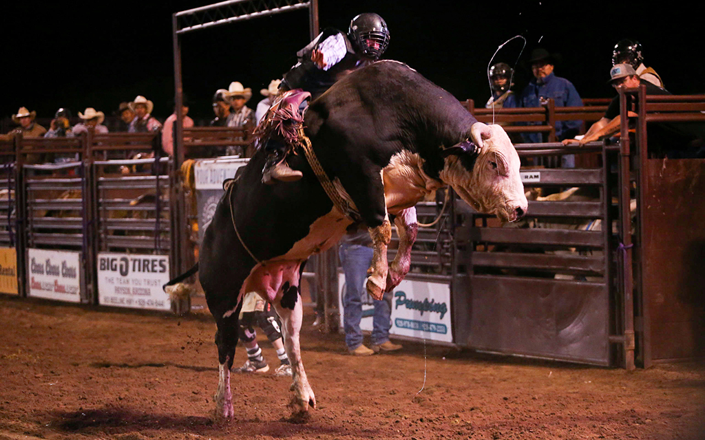Photo essay: From steer wrestling to bull riding, Gart Hardt Memorial Rodeo honors those who came before