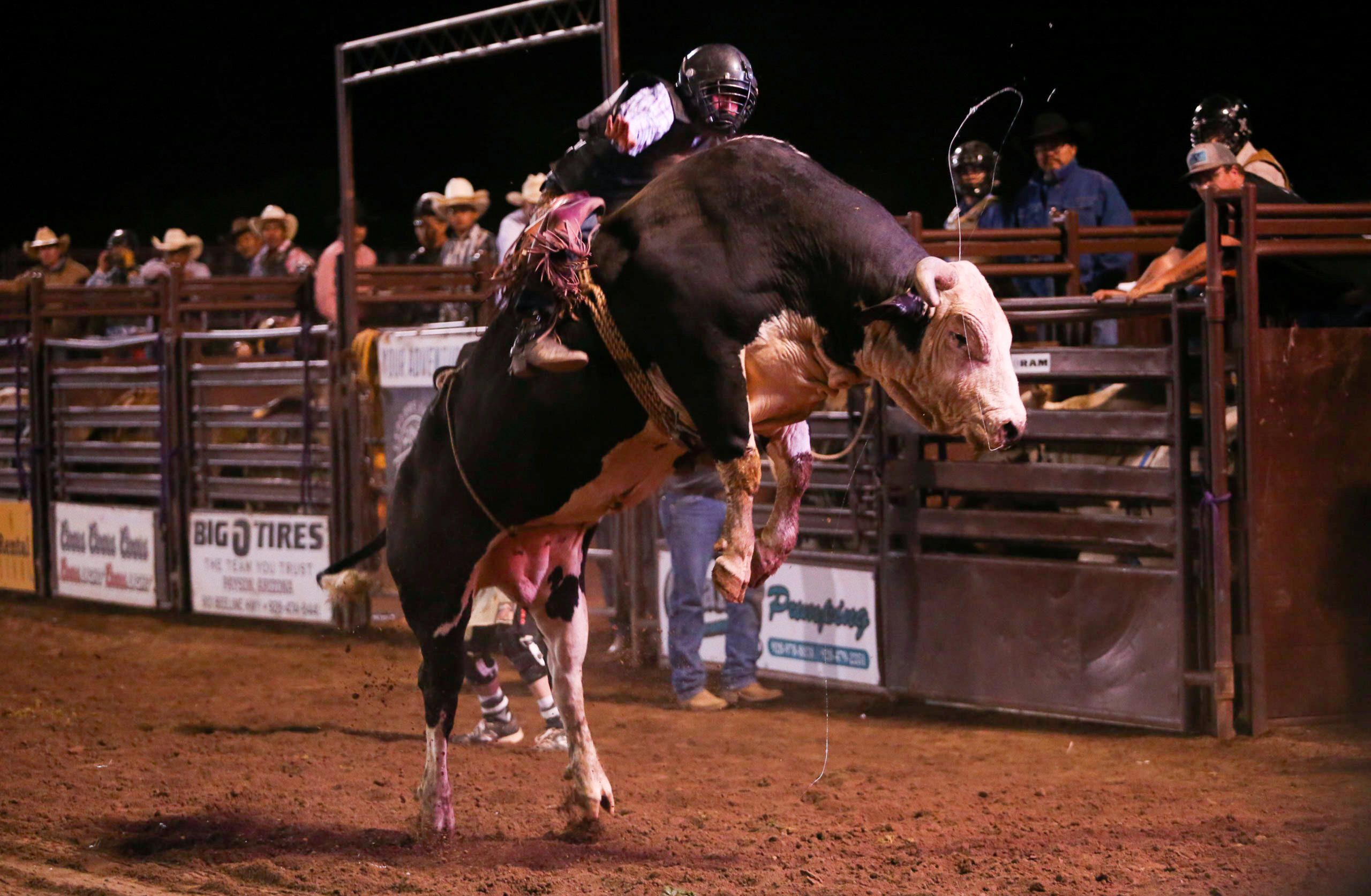 Clay Wagner holds onto Salt River Rodeo’s Saturday Night Fever during the bull riding event at the 36th Gary Hardt Memorial Rodeo. (Photo by Joey Plishka/Cronkite News)
