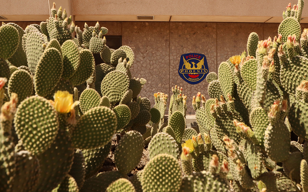 The Phoenix Police Department is under a pattern or practice investigation from the U.S. Department of Justice, with discriminatory policing practices listed as one of the five areas of concern. (Photo by Shelby Rae Wills/Howard Center for Investigative Reporting)