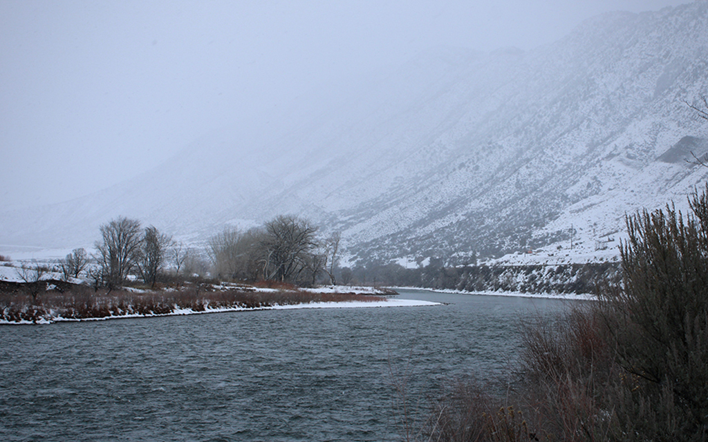 Snow falls on the Colorado River near New Castle, Colorado, on Jan. 11, 2023. Months of snow and rain soaked a region in the grips of drought and helped replenish reservoirs along the Colorado River. (Photo by Alex Hager/KUNC)