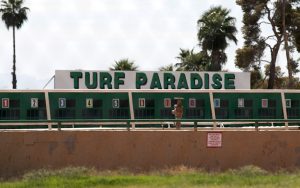 The Arizona Horsemen’s Benevolent and Protective Association's contract with Turf Paradise to simulcast races for wagering extends to Nov. 12. (Photo by Jacob Luthi/Cronkite News)