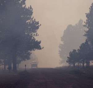 A truck’s lights pierce through the smoky haze during a prescribed burn in Kaibab National Forest on Oct. 5, 2023. Nearby communities are informed of prescribed burn operations before they start. (Photo by Kevinjonah Paguio/Cronkite News)