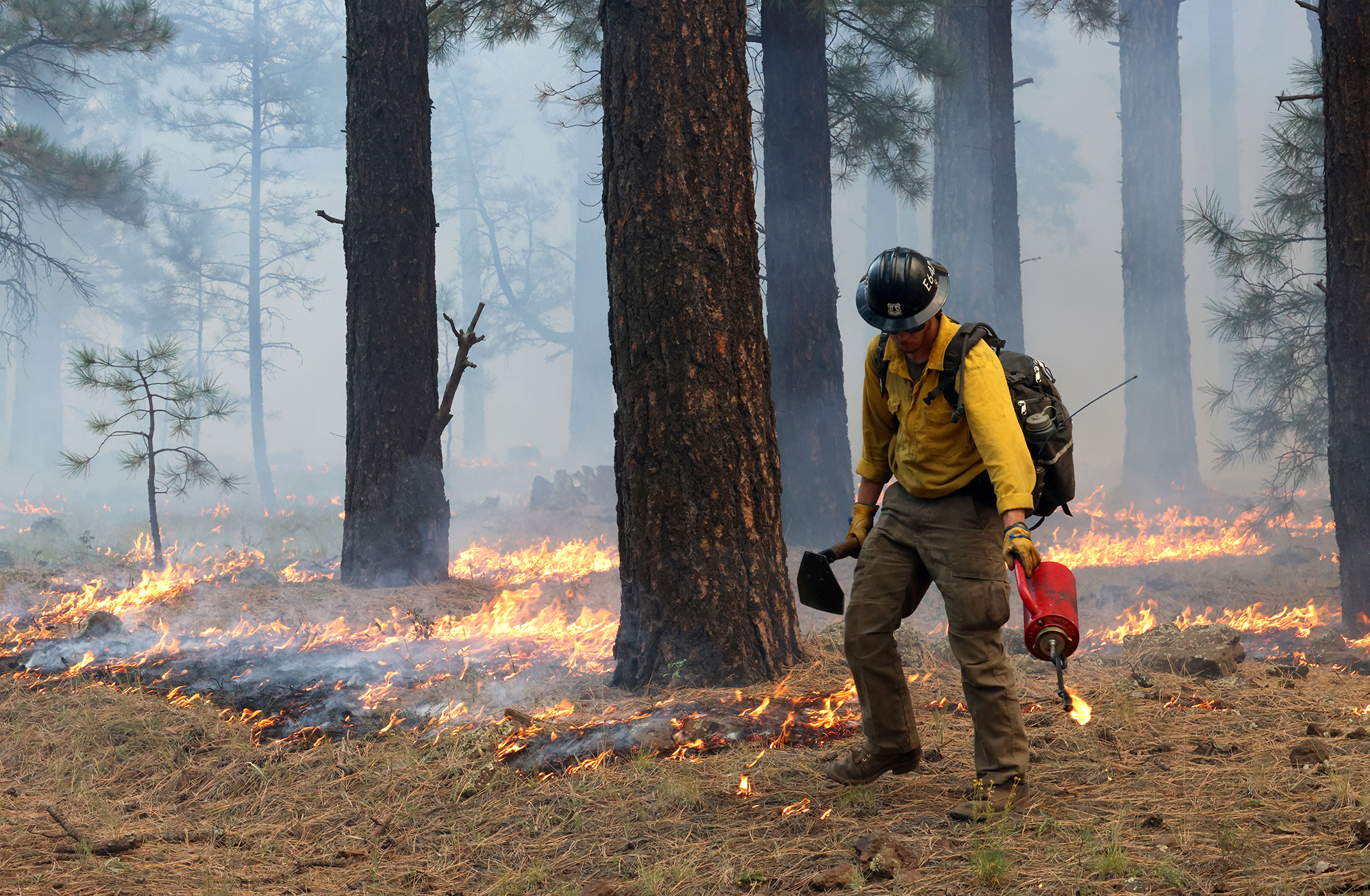 Ashton Johnson uses his drip torch during a prescribed burn operation in Kaibab National Forest on Oct. 5, 2023. Fire crews planned to burn around 2,300 acres of land that day. (Photo by Kevinjonah Paguio/Cronkite News)
