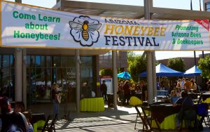 The Arizona Honeybee Festival, held in November in Phoenix, educates people on bee species, conservation and sustainable desert gardening. (Photo by Hunter Fore/Cronkite News)