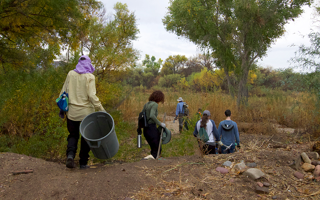 Watershed Management Group employees and volunteers make their way to a riparian preserve in the Tanque Verde area of Tucson for restoration efforts on Nov. 18, 2023. (Photo by Hunter Fore/Cronkite News)
