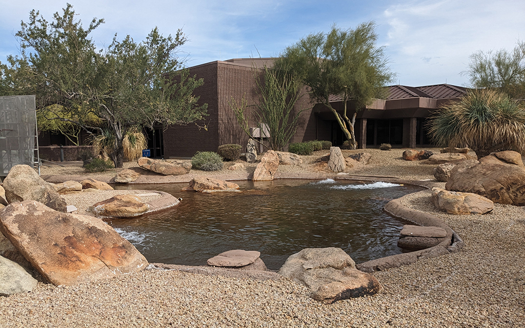 A small pond in front of the city of Scottsdale Water Campus holds recycled wastewater. (Photo by Kate Duffy/Cronkite News)