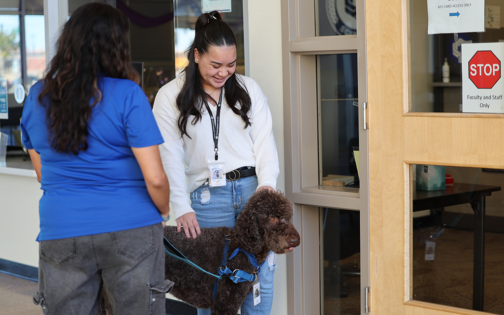 Gateway counseling faculty member Monica Buensuceso, left, lets office assistant Alexandria Chaco pet therapy dog Dash at Gateway Community College on Jan. 30, 2024. Buensuceso says people want to see more of Dash. “They’ll say hi to him and not me,” she says. (Photo by Marnie Jordan/Cronkite News)