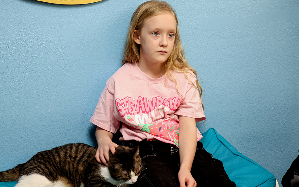 Jojo Wangler, 7, a Saving One Life volunteer, pets a cat on Feb. 14, 2024, at PetSmart in Phoenix. She volunteers with her mom, Rylie Wangler, and her sister to help cats and bond with her family. (Photo by Mariah Temprendola/Cronkite News)