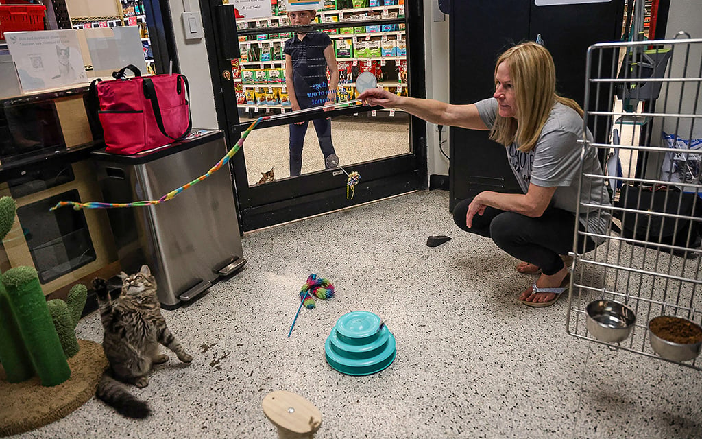 From left, Hannah Galaxy, 10, and Cathy Christensen, volunteer at Saving One Life inside PetSmart in Phoenix on March 20, 2024. Christensen has been a volunteer for three years.  (Photo by Mariah Temprendola/Cronkite News)