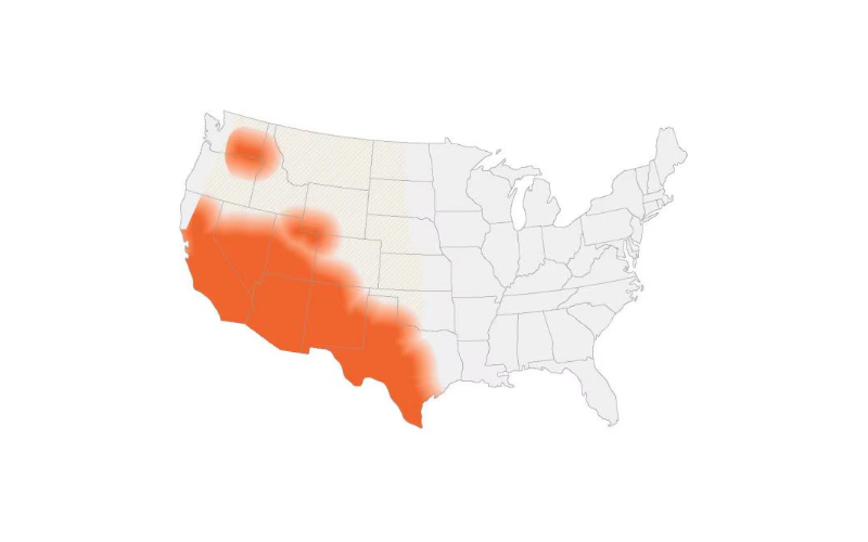 Estimated areas of coccidioidomycosis (valley fever) in the United States.  (Map courtesy of CDC)