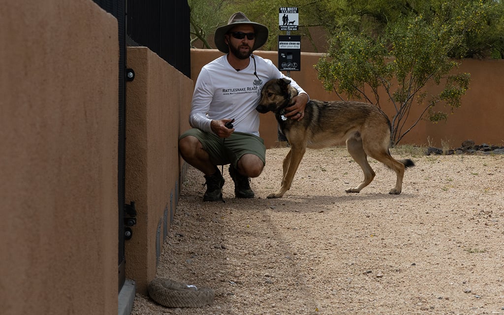 Rattlesnake Ready trainer Cody Will holds Arlo before letting the dog run past a rattlesnake to his owner.  Photo taken at Cave Creek on April 24.  (Photo by Emily Mai/Cronkite News)