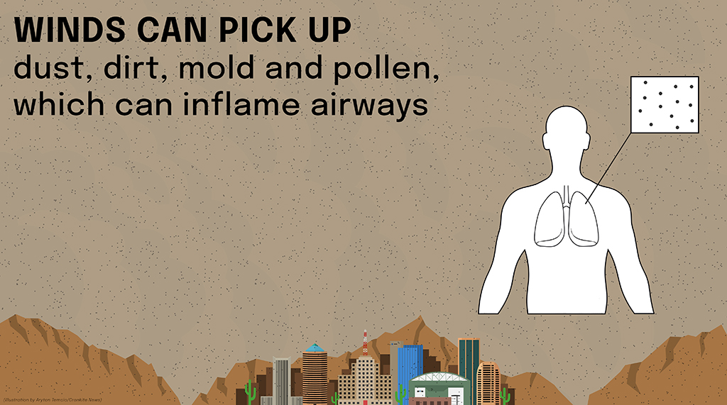 If rain does not follow a dust storm, the dust and particulates can hang in the air. If a person with asthma breathes in the dust, it can irritate the airways and lungs, causing an asthma attack. (Illustration by Aryton Temcio/Cronkite News)