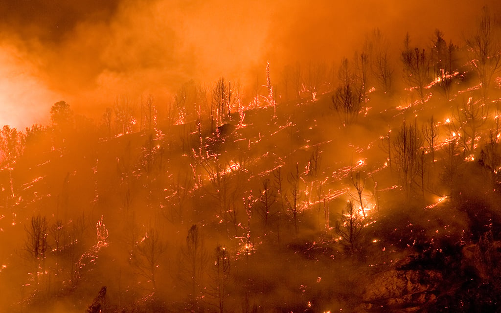 A forest fire in Copper Canyon blazing on a hillside with flames and thick smoke. Trees are silhouetted against the fiery backdrop.