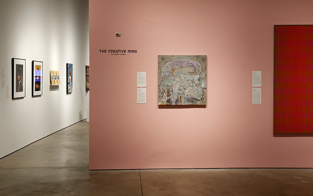 Art gallery with artworks displayed on white and pink walls, featuring brain anatomy painting and portraits.