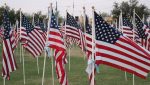 Each flag at the Tempe Healing Field on Sept. 11, 2024, has the name of a victim of the 9/11 terrorist attacks. (Photo by Aryton Temcio/Cronkite News)