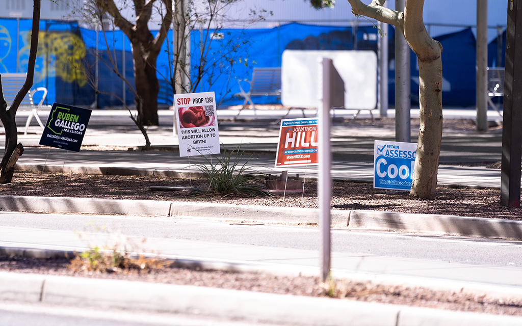 Political signs line the streent