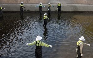 yle Quiroz (center), an SRP chemical operations specialist and crew leader, directs his team as they remove the white amur fish from a section of the canal in Mesa