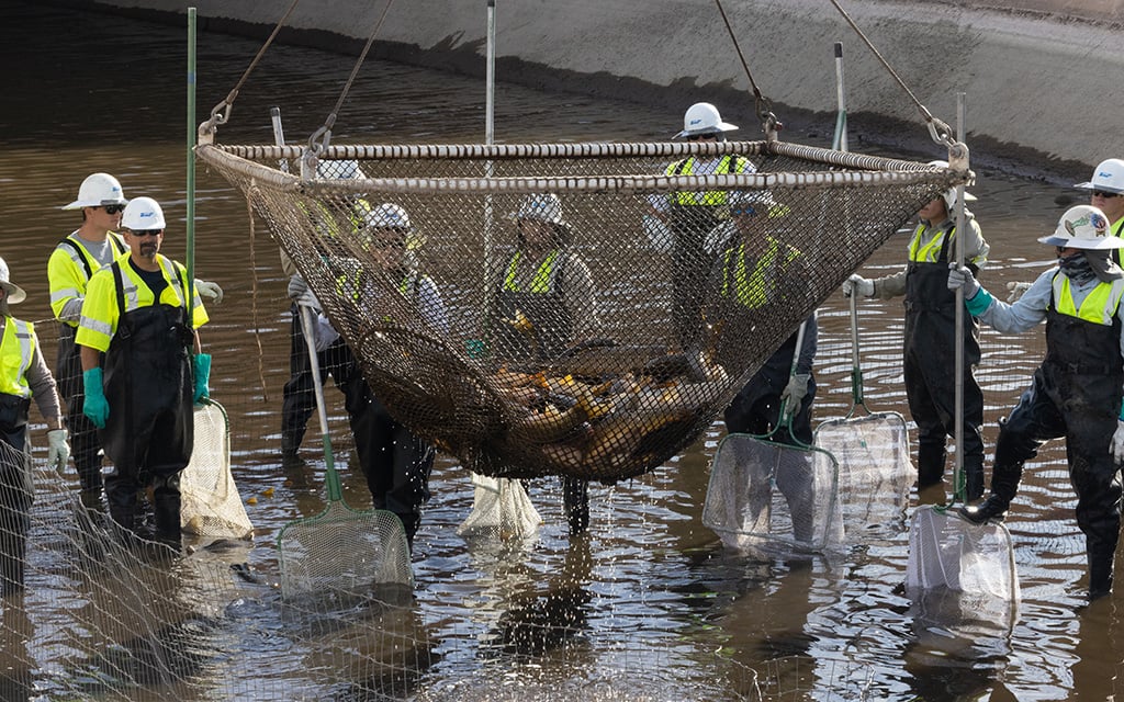 ‘We’re family here’: SRP employees band together to clean 10 miles of Salt River canal system